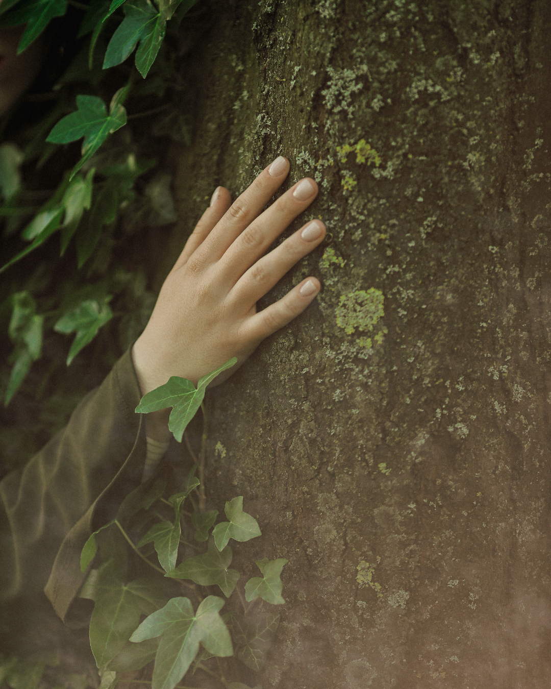 Seminar Soul Journey - jemand umarmt einen Baum 